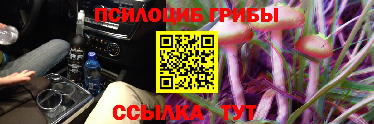 Псилоцибиновые грибы прущие грибы  Псилоцибиновые грибы Cubensis  Кисловодск  Вход с VPN 